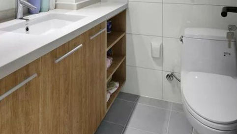 卫生间装修可以不用瓷砖吗