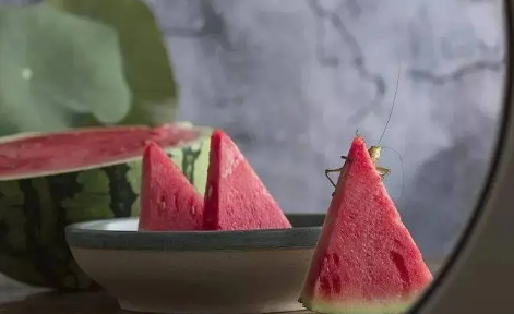 为什么三伏天排寒湿最好