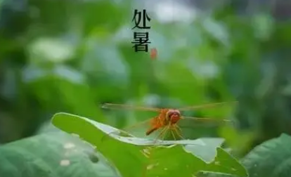 2022处暑过后还要热多久
