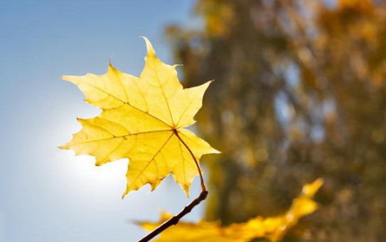 2022年立秋的日子不好吗