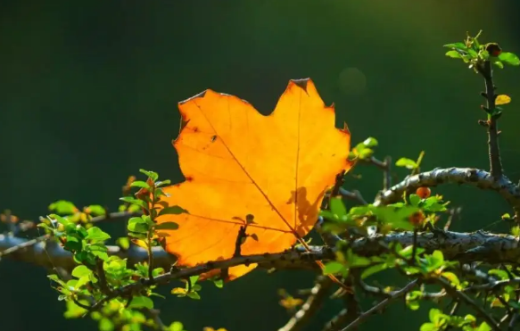 2022年立秋的日子不好吗