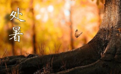 2022处暑这天下雨好还是不下雨好