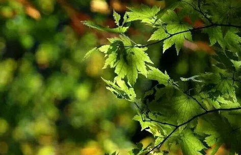 2022处暑这天下雨好还是不下雨好