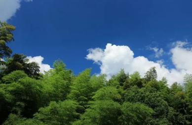 2022年处暑是哪天
