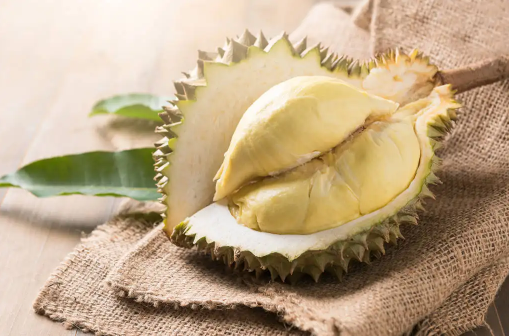 榴莲肉硬放冷冻里能熟吗