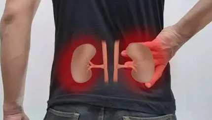 肾虚吃什么东西补得快