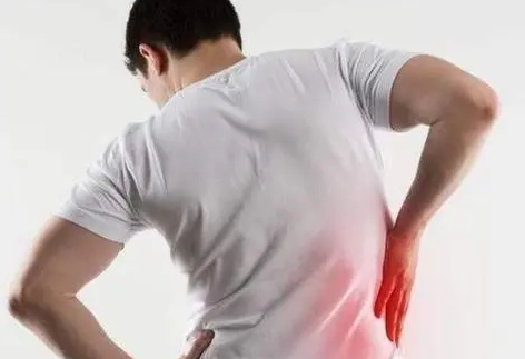 肾虚吃什么东西补得快