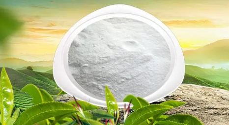 左旋肉碱有副作用吗