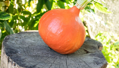 葫芦摆窗台中间好还是两边好