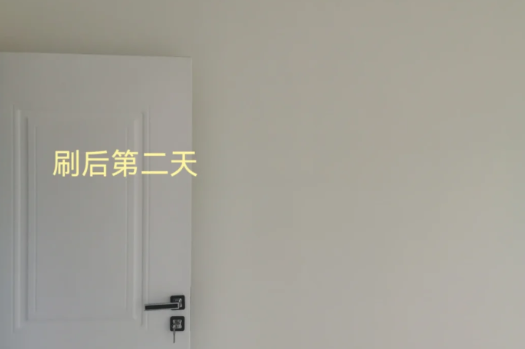 立邦珍珠白墙面漆效果图