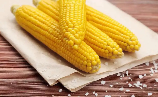 玉米煮好放锅里一夜会坏掉吗