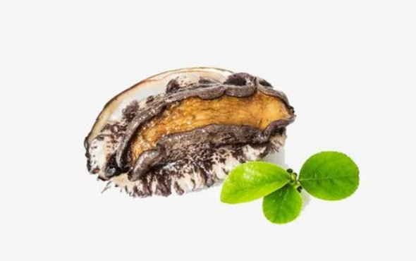 几头鲍鱼是什么意思