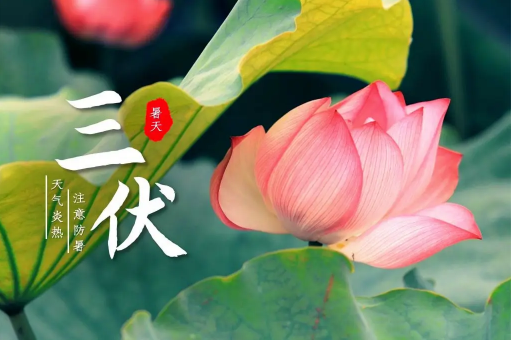 2022年三伏天热不热