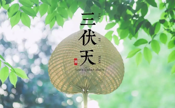 2022年三伏天热不热