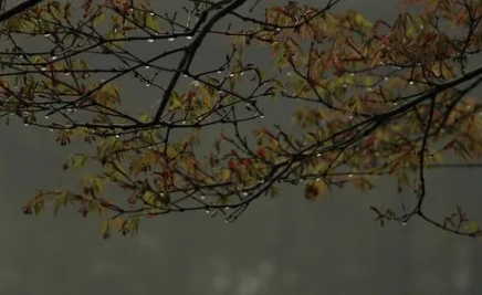 2022北京7月份下雨多吗