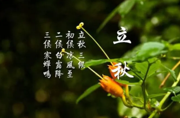 2022年立秋可以搬家吗