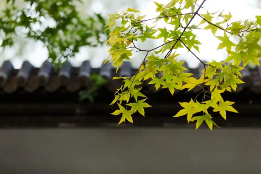 2022年立秋天坑在哪个方位