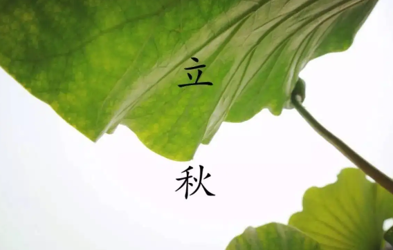 2022年立秋天坑在哪个方位