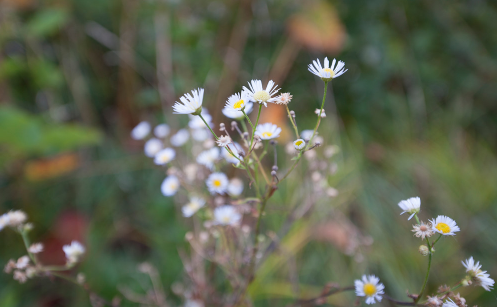 2022广东中秋过后还热吗