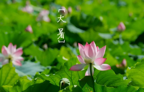 大暑节气到立秋节气中间还热吗