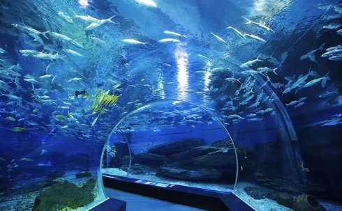 武汉海昌极地海洋世界夜场可以现场买票吗