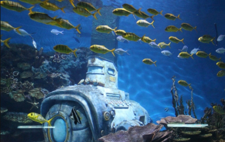 武汉海昌极地海洋世界夜场可以现场买票吗