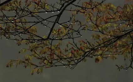 2022年南方雨下到什么时候