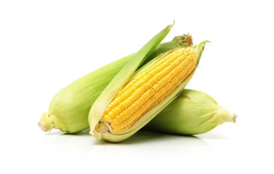 玉米是新鲜存放还是煮熟存放