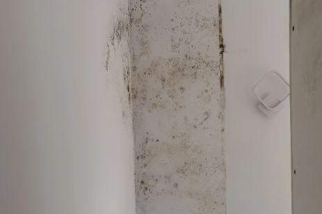 外墙渗水到内墙能彻底解决吗