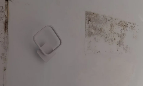 外墙渗水到内墙能彻底解决吗