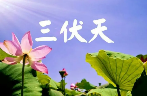 2022进伏是哪一个节气开始