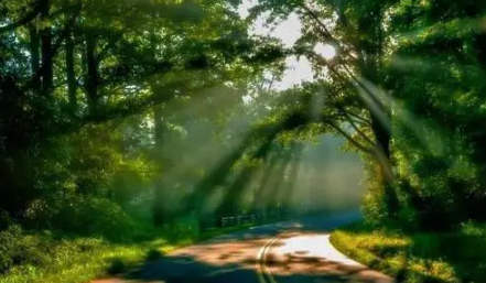 2022年中元节迁坟是吉利的吗