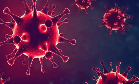 霍乱一定会死吗