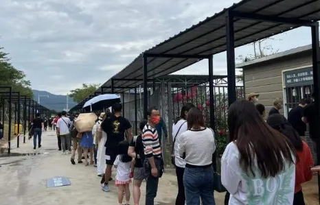 霍乱一般多少天会治愈