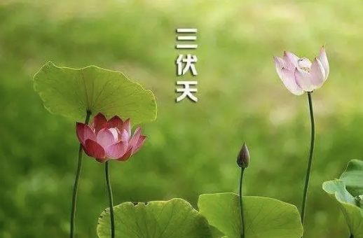 2022年三伏天的起止时间日期