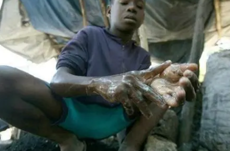 霍乱病是由什么引起的