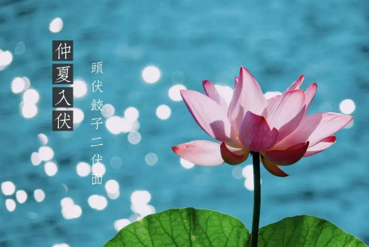 2022年入伏是上午还是下午