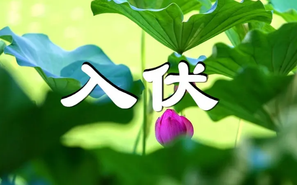 2022年入伏在什么节气