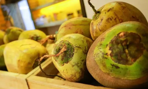 青椰子的椰子肉能吃吗