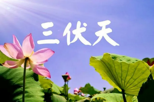 2022年三伏天过了就不热了吗