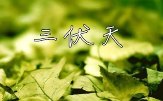2022年三伏天过了就不热了吗