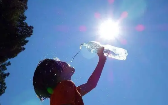 三伏天晒背去寒湿的最佳时间