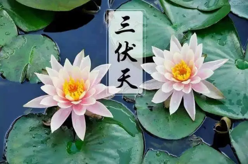 三伏天吹风扇好还是空调好