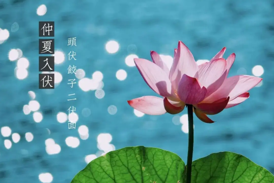 三伏天吹风扇好还是空调好