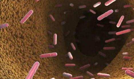 口服霍乱疫苗有必要吗