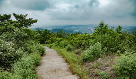 2022夏季去武汉八分山看日出几点合适