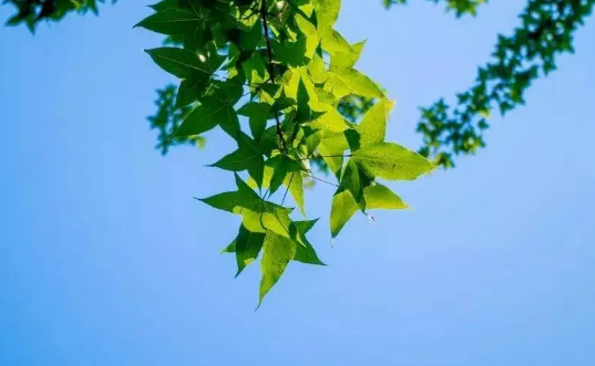 晒背是光着背还是穿个衣服好