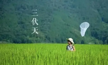 2022末伏天还热吗