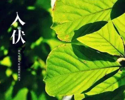 2022末伏天还热吗