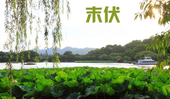 2022末伏后气温能达到多少度